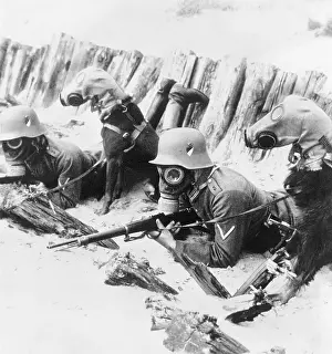 Gas Mask Prints: Soldiers and Dogs Wearing Gas Masks