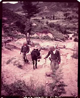 Mule Prints: Soldiers Leading Mules Over Rural Area