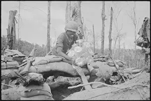 Bunker Prints: Soldiers Placing Christmas Tree on Bunker in South Vietnam