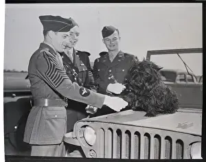 Jeep Prints: Soldiers And The Presidents Dog
