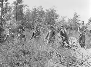 Searching Prints: Soldiers Searching Wooded Area