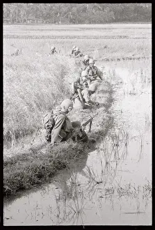 Soldiers Sitting in Rice Field