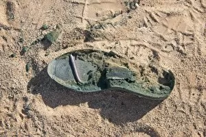 Images Dated 2nd September 2012: Sole of an old shoe lying in the sand, Sossusvlei, Namib Naukluft Park, Namibia