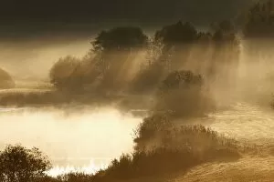 Mist Collection: Sonderhamer Weiher pond at dawn near Degerndorf, Muensing, five lakes area, Upper Bavaria