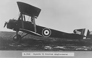 3646 Prints: Sopwith Strutter