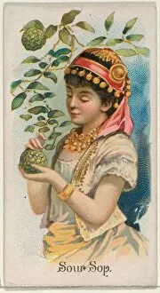 Sour Sop Trade Card 1891