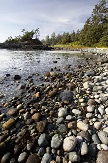 Clayoquot Sound Prints: South Beach In Pacific Rim National Park Near Tofino; British Columbia Canada