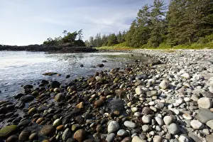 Clayoquot Sound Prints: South Beach In Pacific Rim National Park Near Tofino; British Columbia Canada