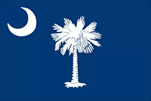 Images Dated 11th January 2011: South Carolina flag