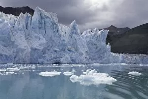 Climate Change Gallery: South Georgia, Cumberland Bay, Neumayer Glacier, autumn