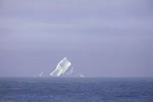 Climate Change Gallery: South Georgia, iceberg at sea, sunrise, autumn