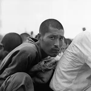 M War Prints: South Korean Prisoner