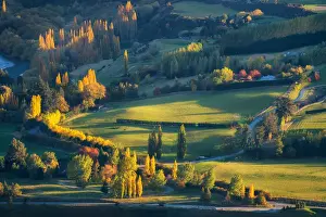 South, New Zealand in Autumn Season