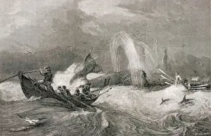 Whale Prints: South Sea Whaling -- Engraving