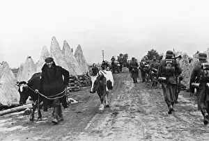 Leading Prints: Soviet Peasants Return to Village