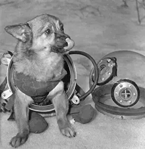 Retrofuturism Prints: Soviet Space Dog in Space Suit