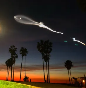 Palm Trees Prints: SpaceX Falcon 9