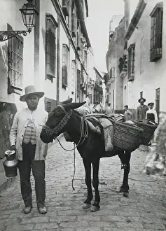 Sevilla Prints: Spanish Milk Man Posing with His Donkey in the Street