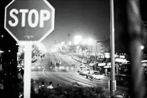 Sparsely Occupied Street of Sunset Boulevard