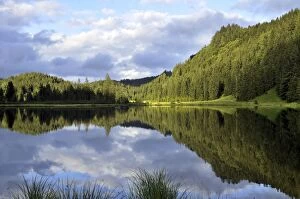 Woodlands Collection: Spechtensee lake, reflections of a forested hill in the water