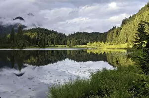 Mirrored Gallery: Spechtensee, reflections of forested hills in the water, landscape between Tauplitz and Liezen