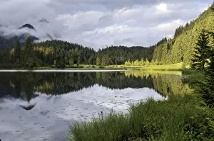Woodlands Collection: Spechtensee, reflections of forested hills in the water, landscape between Tauplitz and Liezen