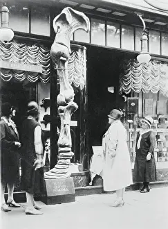 Spectators Noticing Display of Elephant's Hip Bone