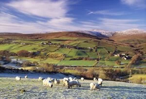 Pastoral Gallery: The Sperrins in winter, Co Tyrone, Ireland