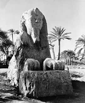 Lac0062 Prints: SPHINX IN SAKARA EGYPY