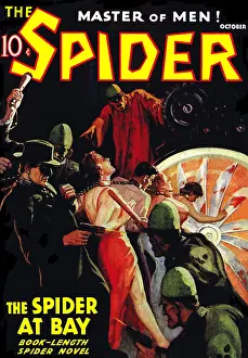 The Spider at Bay