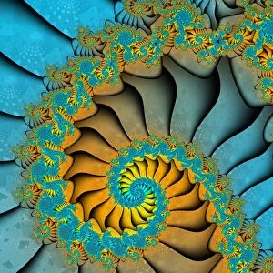 Pattern Collection: A spiral fractal