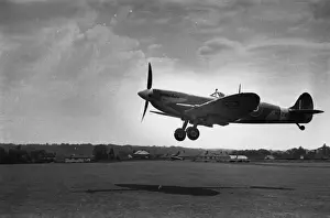 Spitfire