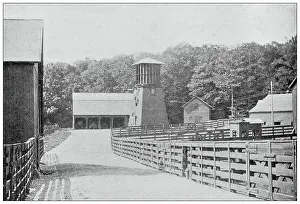 Sport and pastimes in 1897: Paddocks, Racing horses training farm, Vermont