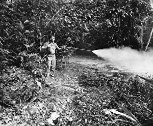 Spraying Prints: Spraying Oil on a Swamp on Guadalcanal