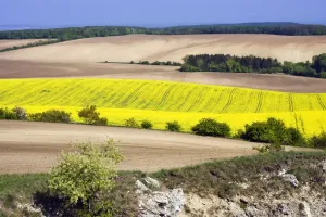 Rolling Prints: Spring landscape in TabulovAzAa