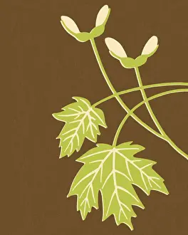 Brown Background Prints: Spring Leaves