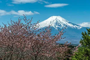 Images Dated 22nd April 2015: Spring of Oshino