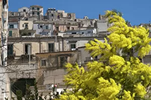 Images Dated 24th December 2009: Spring time in Modica Italy