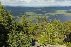 Images Dated 22nd July 2015: Spruce forest on Moxie Bald Mountain and Bald Mountain Pond in distance, Appalachian Trail