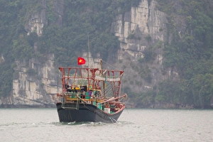 Images Dated 22nd April 2015: Squid fishing trawler