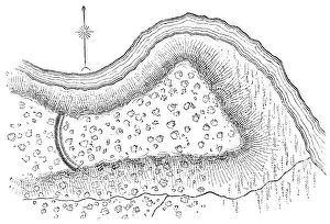 Squier Map of Indian Hill Fort near Minden in Montgomery County, New York, USA