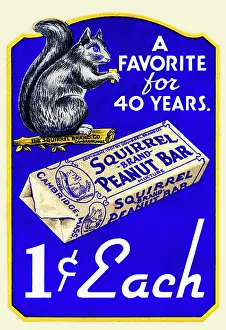 Penny Prints: Squirrel Brand Peanut Bar