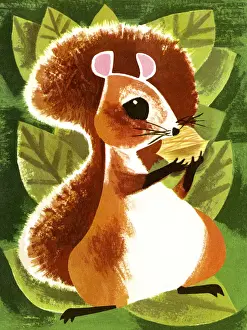 Forest Animal Prints: Squirrel Eating a Nut