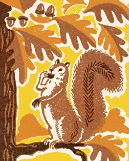 Ecology Prints: Squirrel in a Tree