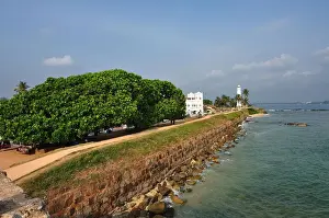 Southern Sri Lanka Prints: sri lanka coastline