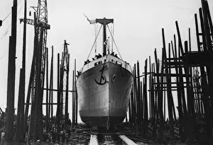 Hull Prints: SS Sheringham