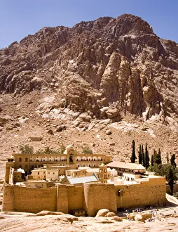 Mt Sinai Collection: St. Catherine s