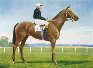 Racetrack Prints: St. Magnus