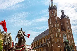 Market Square Prints: St. Marys Basilica, Krakow, Poland