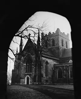 Lions Prints: St Patricks Cathedral